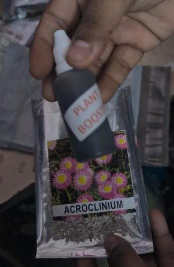 Acroclinium Mix Flower Seeds(40 Seeds Approx.) With Free Plant Growth Booster And Supplement (Pack of 1)